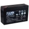 Bateria de chumbo FIAMM FG11202 Vds