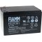 Bateria de chumbo FIAMM FG21202 Vds