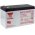 YUASA Bateria chumbo NPW45-12
