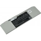 Bateria para Sony Vaio SVT13 Ultrabook/ modelo VGP-BPS30
