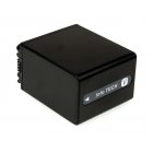 Bateria para Sony modelo NP-FV100