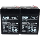 FIAMM bateria de substituio para APC RBC 1