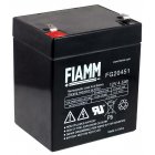 Bateria de chumbo FIAMM, substituio compatvel com COMPAQ R5500XR HPC-R5500XR AGM UPS de emergncia
