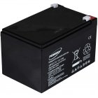 Powery Bateria de GEL 12Ah 12V