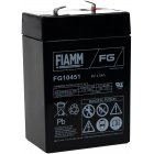 Bateria de chumbo FIAMM FG10451