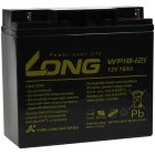 KungLong Bateria de chumbo WP18-12I 12V 18Ah para aplicaes cclicas