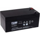 Bateria de chumbo FIAMM FG20341