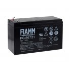 Bateria de chumbo FIAMM FG20721 Vds