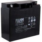 Bateria de chumbo FIAMM FG21803