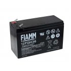 Bateria de chumbo FIAMM FGH20902 12FGH36 (alta intensidade - Start)
