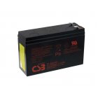 CSB Bateria de chumbo de Alta Intensidade HR1224WF2 12V 24W